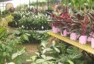 Bundaberg plant-nursery-7.jpg; ?>