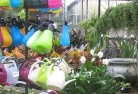 Bundaberg plant-nursery-8.jpg; ?>