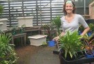 Bundaberg plant-nursery-9.jpg; ?>