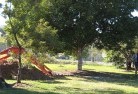 Bundaberg tree-transplanting-1.jpg; ?>