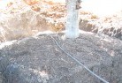 Bundaberg tree-transplanting-4.jpg; ?>
